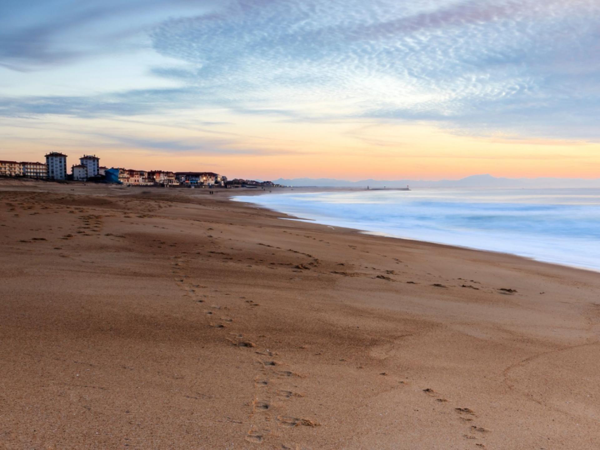 Coldwell Banker, créateur d'émotions immobilières depuis 1906