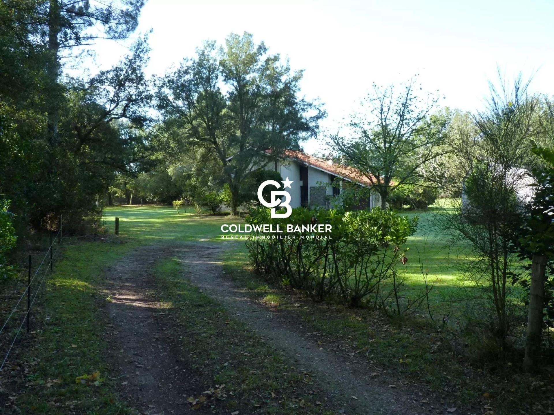Maison en lisière de forêt proche de l'océan avec grand terrain à vendre à Linxe (40260)