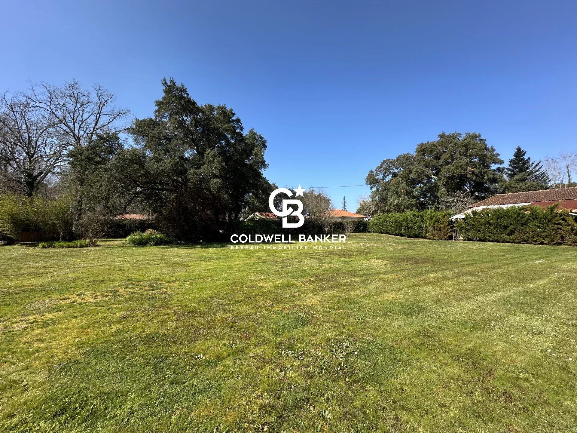 Maison à vendre à Angresse - contemporaine, avec piscine, grand terrain, proche Capbreton