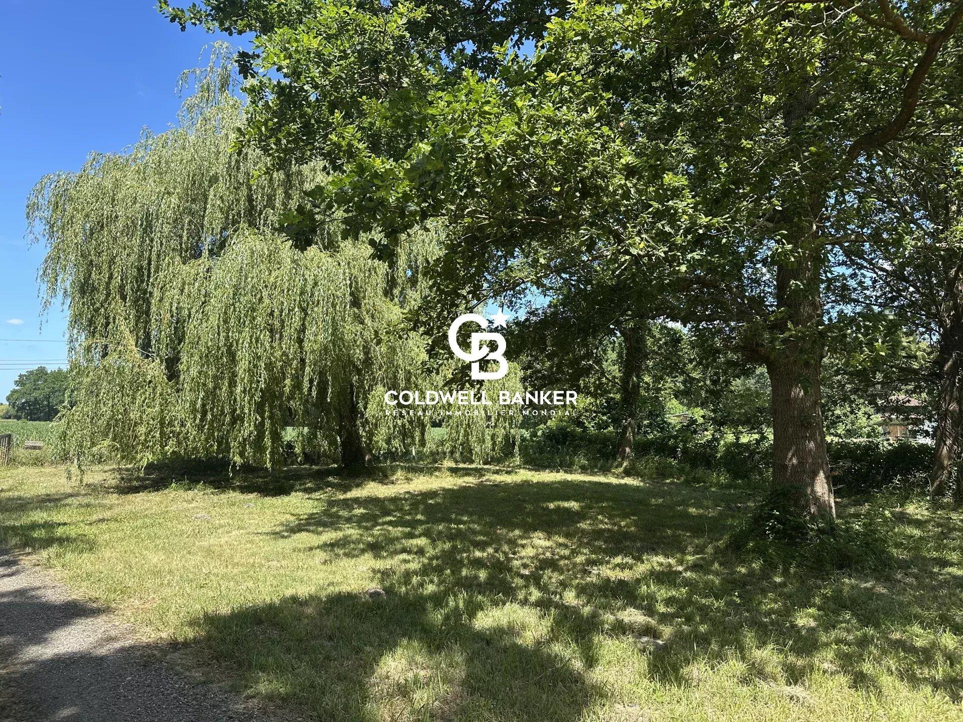 Maison à vendre à Soustons – 195 m² sur 7500 m² en pleine nature