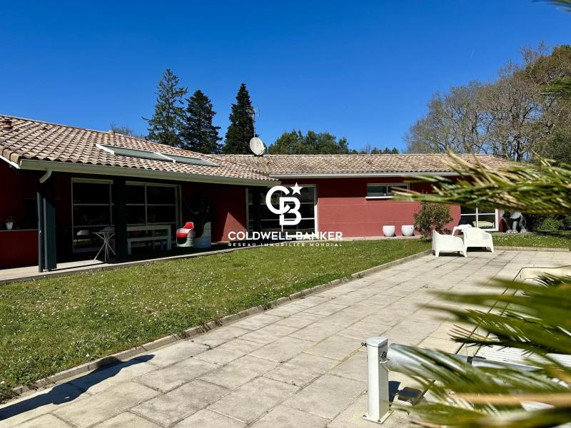 Maison à vendre à Angresse - contemporaine, avec piscine, grand terrain, proche Capbreton