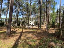 Notre zone d'activité pour ce service Sélection de propriétés de prestige proche golf dans les Landes